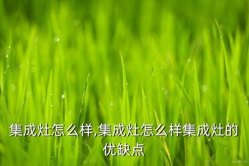 品尼集成灶怎么样,集成灶怎么样?集成灶的优缺点