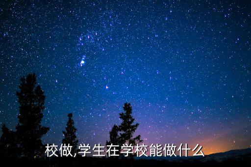 在学校做,学生在学校能做什么?