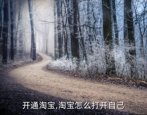 开通淘宝,淘宝怎么打开自己