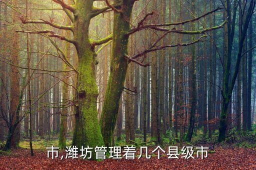 寿光市,潍坊管理着几个县级市