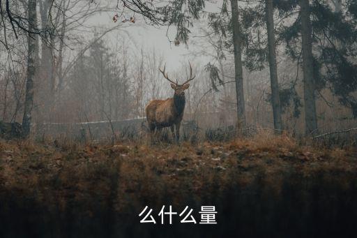 不什么什么量