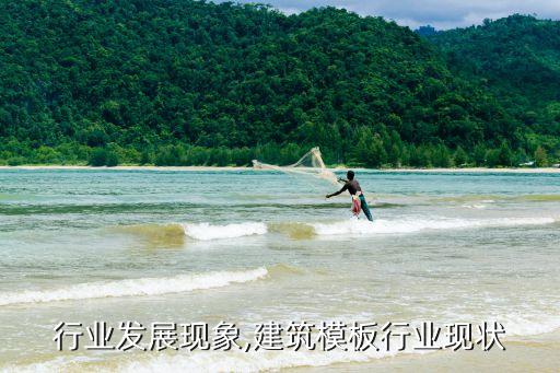 模板行业发展现象,建筑模板行业现状