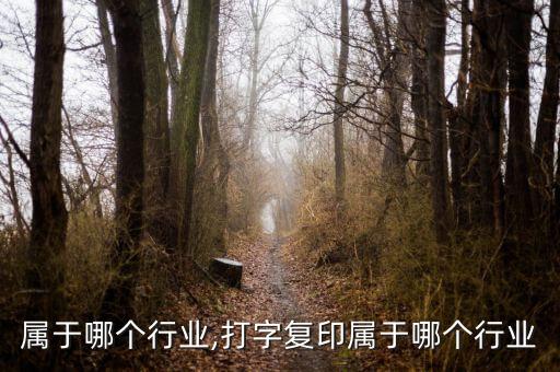 属于哪个行业,打字复印属于哪个行业