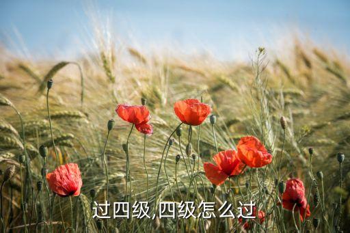 过四级,四级怎么过