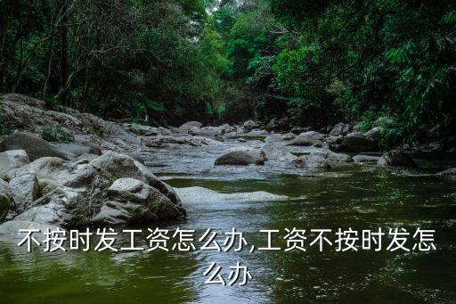 老板不按时发工资怎么办,工资不按时发怎么办?