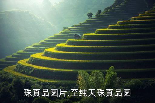 老天珠真品图片,至纯天珠真品图