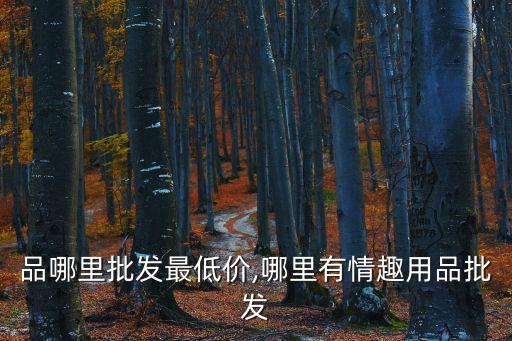 品哪里批发最低价,哪里有情趣用品批发