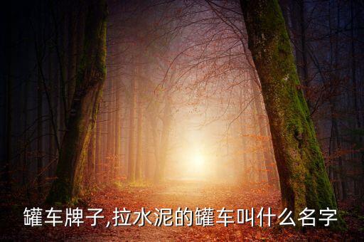 水泥罐车牌子,拉水泥的罐车叫什么名字?