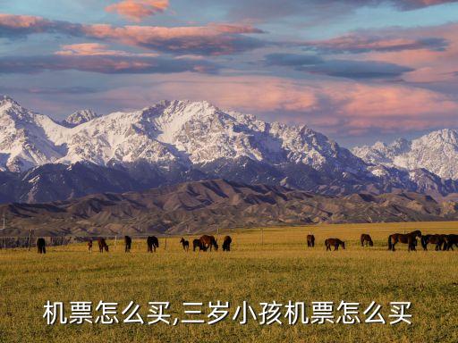 机票怎么买,三岁小孩机票怎么买