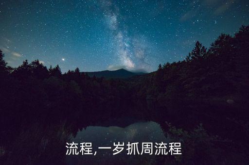 流程,一岁抓周流程