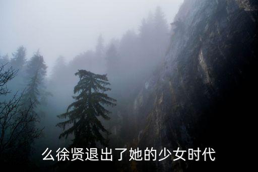 为什么徐贤退出了她的少女时代?