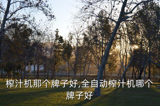 榨汁机那个牌子好,全自动榨汁机哪个牌子好