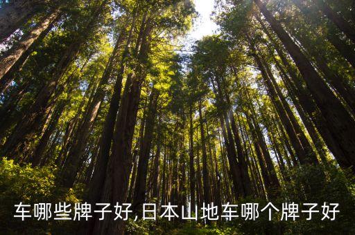 车哪些牌子好,日本山地车哪个牌子好