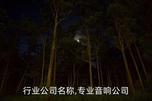 音响行业公司名称,专业音响公司