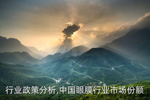 行业政策分析,中国眼膜行业市场份额