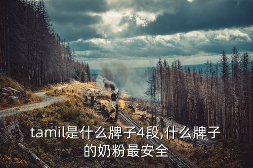 tamil是什么牌子4段,什么牌子的奶粉最安全
