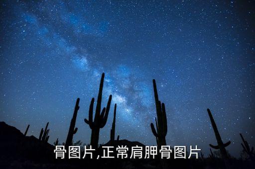骨图片,正常肩胛骨图片