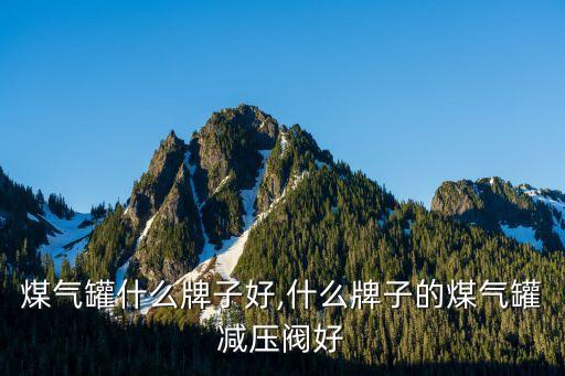 煤气罐什么牌子好,什么牌子的煤气罐减压阀好