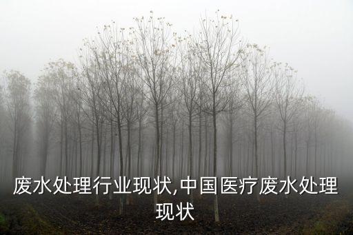 医疗废水处理行业现状,中国医疗废水处理现状