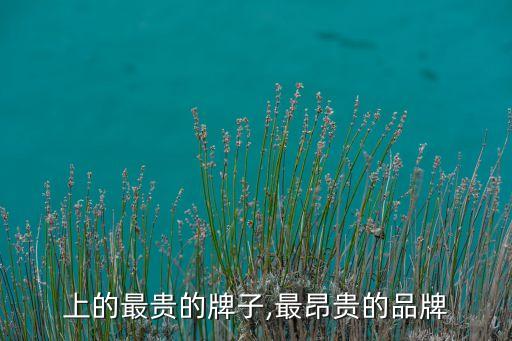 世界上的最贵的牌子,最昂贵的品牌