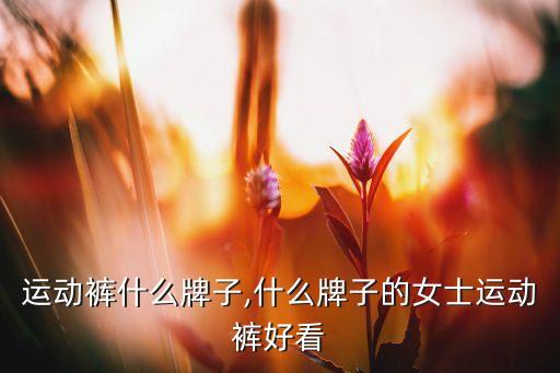 运动裤什么牌子,什么牌子的女士运动裤好看