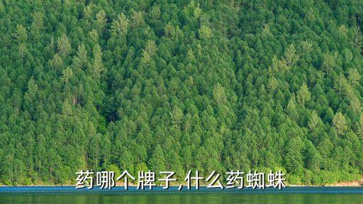 蜘蛛药哪个牌子,什么药蜘蛛