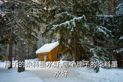 牌子的染料墨水好,哪个牌子的染料墨水好