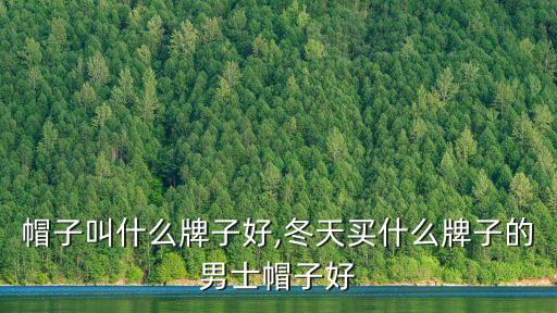 帽子叫什么牌子好,冬天买什么牌子的男士帽子好