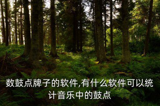 可以数鼓点牌子的软件,有什么软件可以统计音乐中的鼓点?