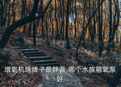 鱼缸增氧机啥牌子最静音,哪个水族箱氧泵好?