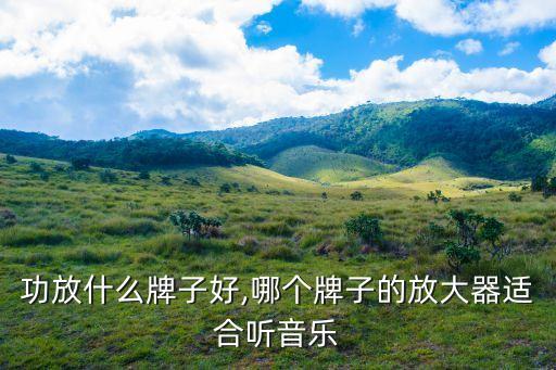 音乐功放什么牌子好,哪个牌子的放大器适合听音乐
