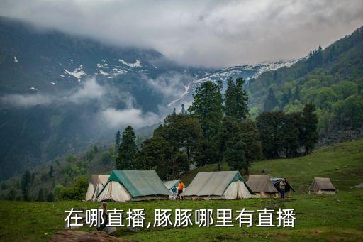 沫子在哪直播,豚豚哪里有直播?