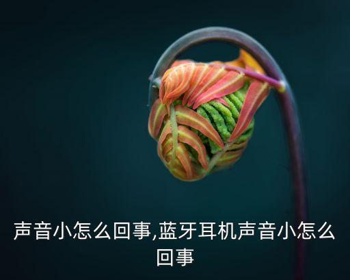 耳机声音小怎么回事,蓝牙耳机声音小怎么回事
