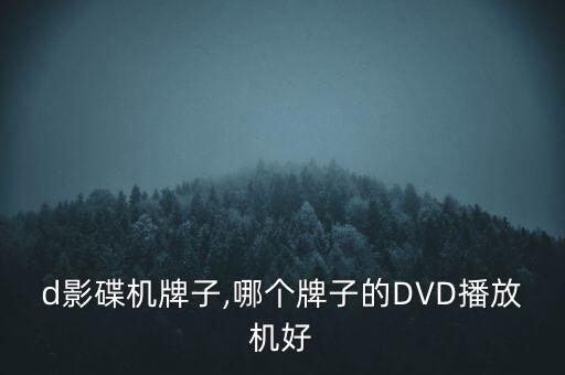 vcd影碟机牌子,哪个牌子的DVD播放机好?