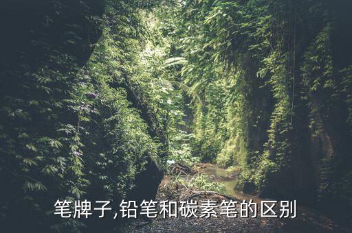 笔牌子,铅笔和碳素笔的区别
