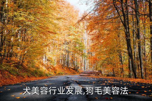 犬美容行业发展,狗毛美容法