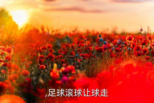 ,足球滚球让球走