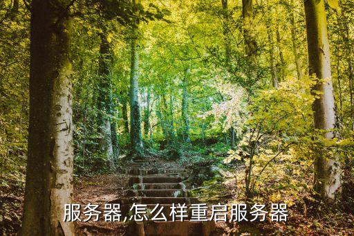 服务器,怎么样重启服务器