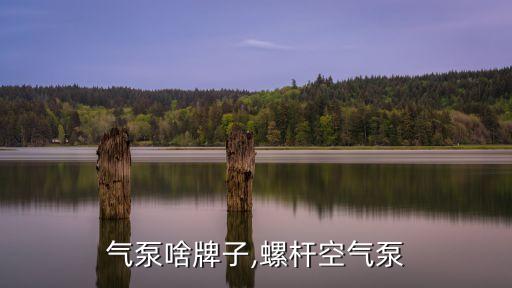 螺杆气泵啥牌子,螺杆空气泵