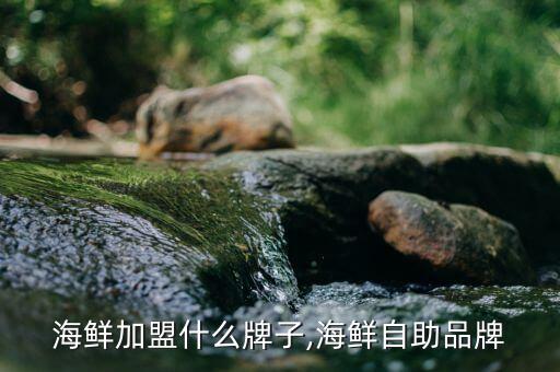 自助海鲜加盟什么牌子,海鲜自助品牌