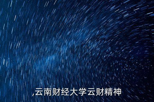 云财,云南财经大学云财精神?