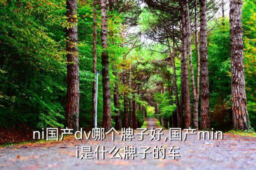 mini国产dv哪个牌子好,国产mini是什么牌子的车?
