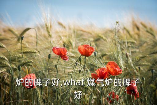 煤气炉的牌子好,what 煤气炉的牌子好