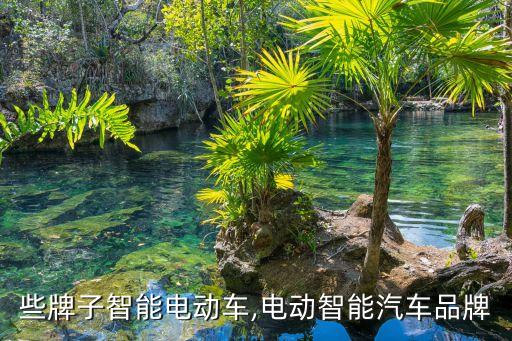 有哪些牌子智能电动车,电动智能汽车品牌