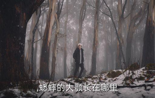 ,蟋蟀的大颚长在哪里