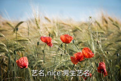 艺名,nice 男生艺名