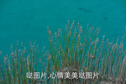 哒图片,心情美美哒图片