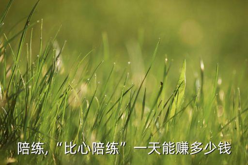 比心陪练,“比心陪练”一天能赚多少钱?