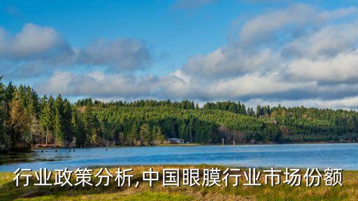 行业政策分析,中国眼膜行业市场份额