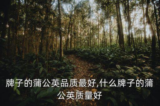 哪个牌子的蒲公英品质最好,什么牌子的蒲公英质量好?